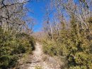 chemin qui monte depuis le vallon de la glacière